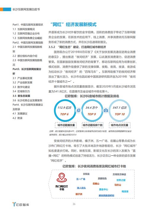 湘江潮涌 2020年長沙互聯網發展白皮書中的軟件與開發力量